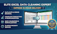 do professional excel data cleaning and formatting in 12 hours