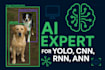 do image classification and deep learning projects using yolo, CNN, rnn, lstm