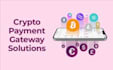 build a crypto payment gateway for ecommerce website, shopify store