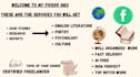 write reports case studies on english literature, poetry, psychology culture