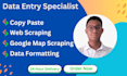 do fast and accurate google map scraping, web scarping, copy paste under 24 hour