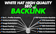 provide manual SEO backlinks