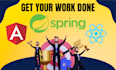 build java, spring boot, rest API, react angular projects