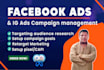 setup, optimize, manage facebook meta ads campaigns, and retarget