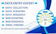 do web scraping , data scraping, data collection, typing