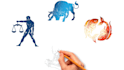 make professional whiteboard explainer animation