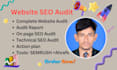 do detailed website SEO audit report and competitor analysis