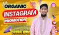 promote instagram organically and grow followers