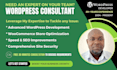 be your wordpress consultant