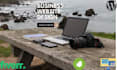 build wordpress website development, business website or wordpress blog
