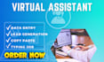 be your professional virtual assistant