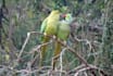 write a blog on the beauty of nature