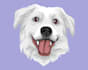 draw your pet into an cute potrait