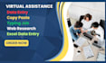 do excel data entry,copy paste,web research and lead collect