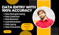 do the fastest data entry and internet research