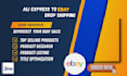 do ebay   dropshipping  SEO optimized top listing