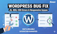 fix wordpress bug in SEO, js, HTML, CSS, responsive issues