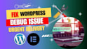 fix debug wordpress theme and plugging issues bug