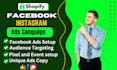 setup and optimize your facebook ads campaign, run fb and instagram ads