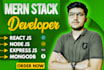 do custom website development as full stack web developer, react next js