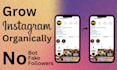organically grow your instagram account