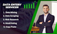do excel data entry, web research, copy past, email research