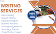 do professional writing services