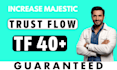 increase website majestic trust flow tf 40 plus