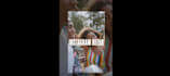 create engaging instagram reels video editing