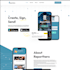 design a professional, custom website with responsive UI UX