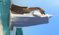do 3d cgi animation, 3d cgi product animation ,vfx animation, cgi, vfx animation