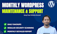 provide monthly wordpress website maintenance and support