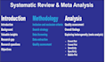 do systematic review and meta analysis