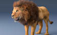 create realistic or stylized 3d animal models for games and cgi