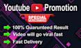 do professional youtube video promotion with google ads