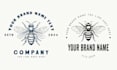 make hand drawn honey bee logo