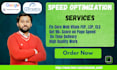 do speed optimization pagespeed, gtmetrix and fix core web vitals, fcp lcp cls