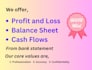 prepare pl, profit loss, balance sheet from bank statement