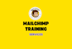 teach your how to use mailchimp