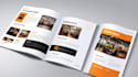 design a professional brochure or catalog