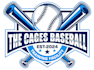 design wonderful baseball logo