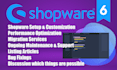 provide shopware support and consulting