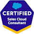 be your personal salesforce consultant