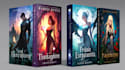 design fantasy, romance and sci fi book covers
