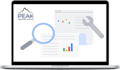 launch, manage and optimize your paid search campaigns