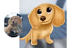 draw your pet in disney style