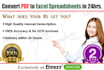 convert PDF to spreadsheets precisely in 24hrs