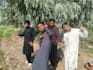 wish funny happy birthday video or happy birthday