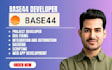 base44 expert vibe coding base44 web app base44 bug fix base44 to wordpress