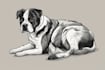 draw illustration pet portrait vector art